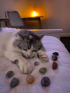 a gray and white cat laying on top of a bed covered in rocks next to a lit candle