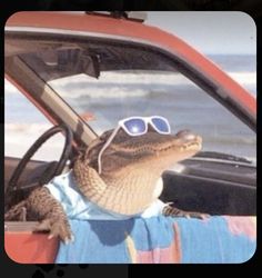 an alligator wearing sunglasses sitting in the driver's seat of a car