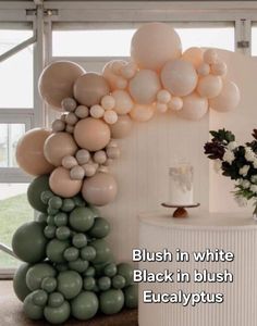 balloons and flowers are on display in front of a white wall with the words, brush in white black in blush eucalypus