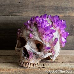 a skull with purple flowers on it's head sitting on a wooden table next to a wall