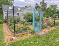 an outdoor garden with lots of plants in it