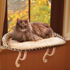 a long haired cat laying on top of a pet bed in front of a window