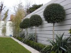 a white wall with some trees and plants on it in the middle of a yard