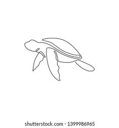 a single line drawing of a sea turtle