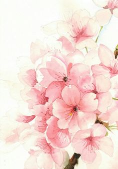 a painting of pink flowers on a white background