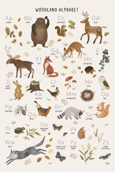 an illustrated poster with animals and letters on it