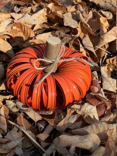 an orange pumpkin sitting on top of leaves