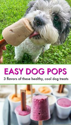 a small dog is chewing on an ice cream cone with the words easy dog pops above it