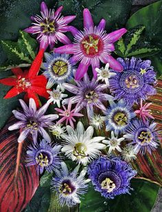 a bunch of flowers that are sitting on a table