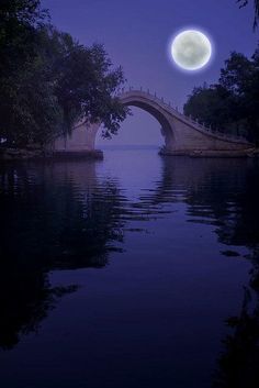 the moon is shining over a river with trees and a bridge in the foreground