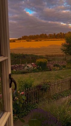 an open window looking out onto a lush green field with flowers in the foreground