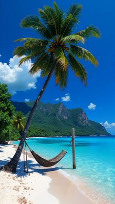 a hammock hanging between two palm trees on the beach with blue water and mountains in the background