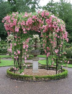 a garden with pink flowers and a fountain