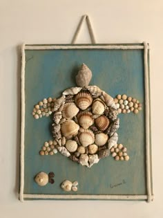 a sea turtle made out of seashells is hanging on a wall