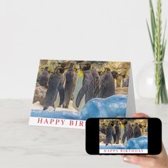 a hand holding up a cell phone with a happy birthday card on it and penguins in the background