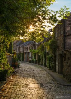 an old cobblestone street with trees lining the sides and buildings on either side