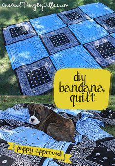 a dog laying on top of a blue and black blanket covered in bandannas