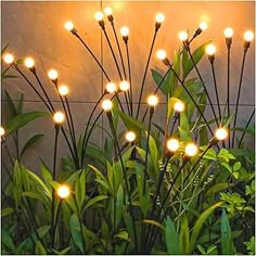 some lights that are on the side of a building near grass and plants in front of a wall