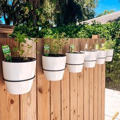 there are many potted plants hanging on the wooden fence line, along with other planters