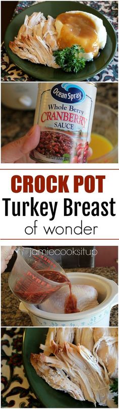 crock pot turkey breast is the best way to use it for dinner or as an appetizer