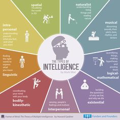 the types of inteliligence by mark vil infographical graphic design