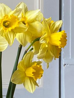 some yellow flowers are in a glass vase