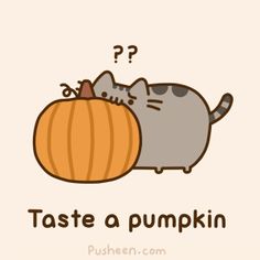 a cat and a pumpkin with the words taste a pumpkin on it's side