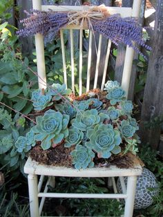 an old chair is decorated with succulents and moss