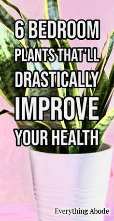 a potted plant with the words 6 bedroom plants that'll dramatically improve your health