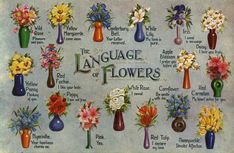 an old postcard with different types of flowers in vases and names on it