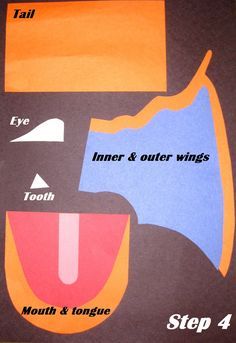 an image of different types of teeth and their corresponding parts to make it look like they are