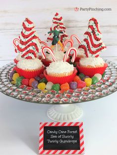 candy cane forest cupcakes on a platter with personal name tags and candies