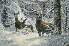 two deer standing in the snow next to trees