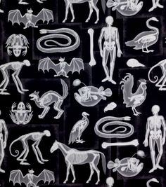 an image of different types of animals and humans in white on black background with text overlay