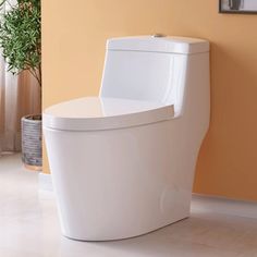 a white toilet sitting in a bathroom next to a plant