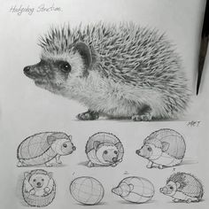 hedgehogs and other animals are drawn in pencil on paper with an eraser pen