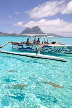 people on a boat in the ocean with sharks swimming around them and one person is sitting at the front