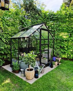 a small greenhouse in the middle of a yard with potted plants and watering hoses