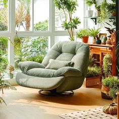 a living room filled with lots of plants and potted plants on the windowsill