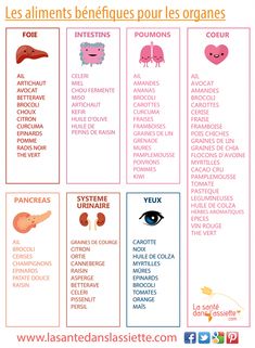 Fiche pratique - Les aliments bénéfiques pour les organes. En complément de nos articles, nous vous proposons des fiches synthétiques, des visuels pratiques qui vont à l Vitamin K2, Turmeric Benefits, Drinks Recipes, Hair Food, Proper Nutrition, Healthy Nutrition, Detox Drinks, Nutrition Tips, Health And Nutrition