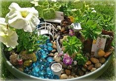 a bowl filled with lots of plants and rocks