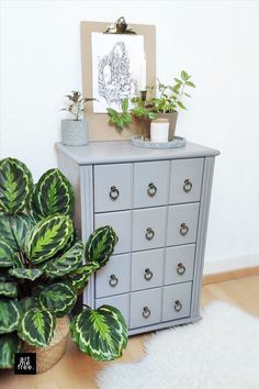 Black-and-white "Cliffs" poster art displayed above a small gray cabinet styled with indoor plants. The combination of bold, detailed linework in the poster and the soft textures of the leafy greenery adds visual interest to the space, making it both artistic and inviting. Shapes In Nature, Natural Twist, White Artwork, Black And White Artwork, Black And White Wall Art, Botanical Drawings, Lush Greenery, Ink Illustrations, Doodle Drawings