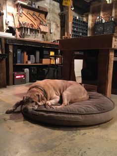 a large dog laying on top of a round bed in a room filled with tools