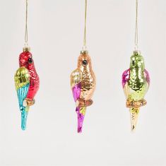 three colorful glass birds hanging from strings in the shape of christmas tree ornament