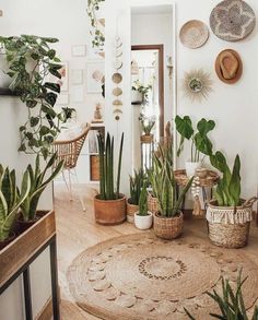 a room filled with lots of potted plants on top of a wooden floor next to a mirror