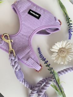 a purple dog harness on a white plate next to flowers