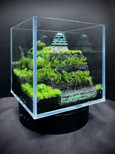 an aquarium filled with plants and rocks on top of a black tablecloth covered surface