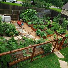 an outdoor garden with lots of plants growing in the ground and fenced in area