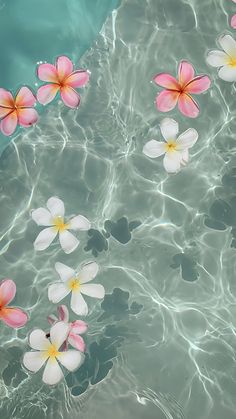 some pink and white flowers are floating in the clear blue water with ripples around them