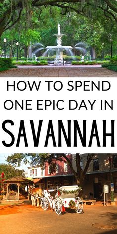 Fountain in Forsyth Park, Savannah (top). Downtown Savannah with horse drawn carriage (bottom). Things To Do In Savannah Georgia Kids, Savannah In The Fall, Best Things To Do In Savannah Georgia, Savannah Georgia Things To Do